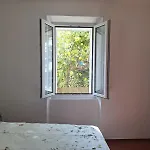 Lemon Garden