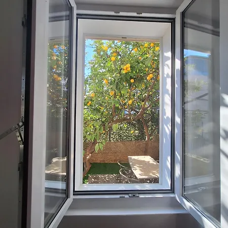 Lemon Garden * Dubrovnik