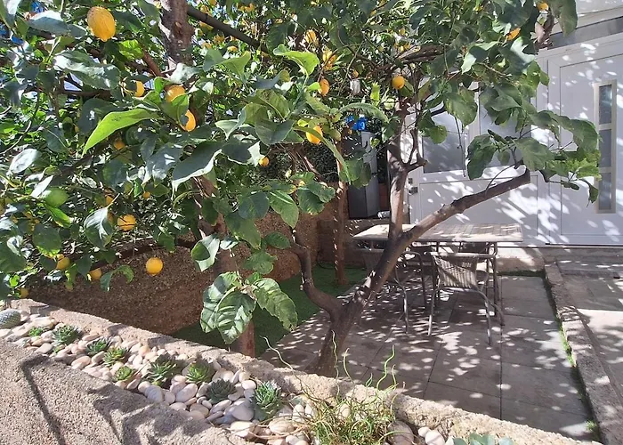 Lemon Garden
