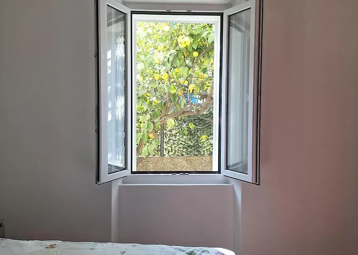 Lemon Garden